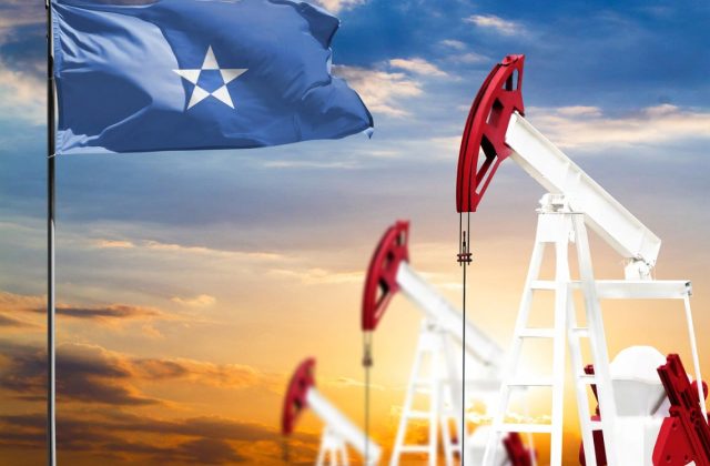 photo_2025-03-03_15-58-28